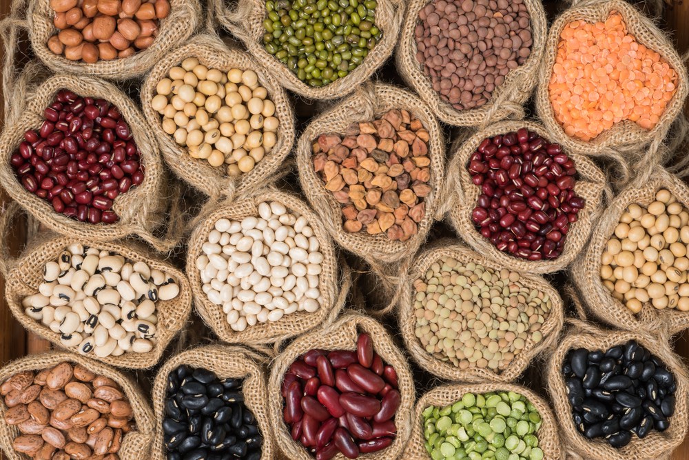 Legumes & pulses