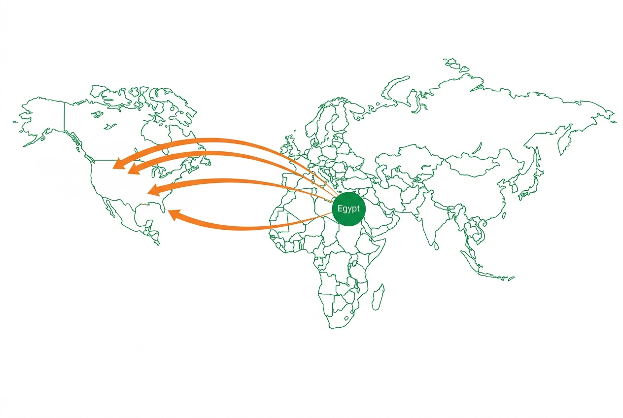 CWS export route from Egypt to international markets
